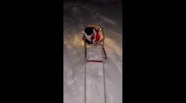 Cute cat riding on the sleds while wearing a Santa Claus sweater!