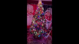 ‘I used SHOWER CURTAINS to create budget Santa’s grotto – my kids think I’m crazy'