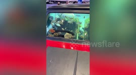 Old Mini Cooper transformed into cool aquarium housing dozens of fish
