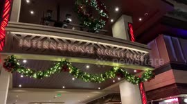 Traffic chaotic in the heart of Waikiki | 4 blocks closed off by police | News stations trying to get best shot | SWAT team in Waikiki at the hotel in front of shooters door  | GUN VIOLENCE | SWAT Police squad in Waikiki trying to solve the situation | st