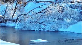 This river refuses to freeze, even when it's -40 degrees Celsisus