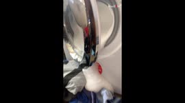 Woman tries to contain foam after husband threw bottle of shampoo inside washing machine