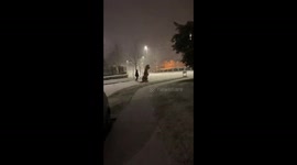 A man dressed as a dinosaur walks down the street during a snowfall in Dublin!