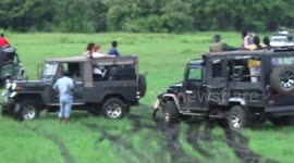 safari jeeps structed on the mud with tourist jeeps don't have 4x4 drive