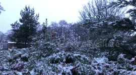 Snow is falling in Yorkshire as Troll from Trondheim takes hold