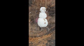 Snow day doesn't stop us from having fun at work. Knife throwing at a snowman