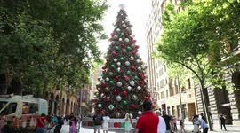 Christmas tree in Martin Place, Sydney, Australia