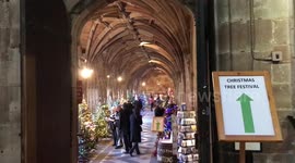 Hundreds flock to a historic cathedral for its annual Christmas tree festival featuring more than 80 festive firs