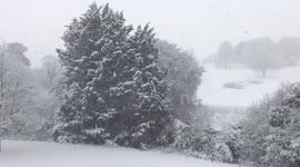 Magical winter wonderland scenes created as heavy snowfall hits parts of England