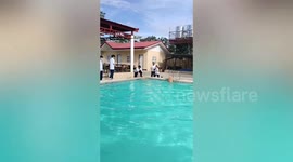 Sweet pet dog jumps into swimming pool to rescue drowning younger sibling