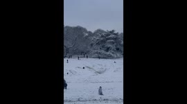 People flock to London's Greenwich Park to slide down hill and enjoy magic of snow