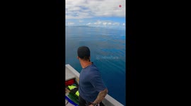 People on boat lose their minds in excitement after watching whales jumping out of water