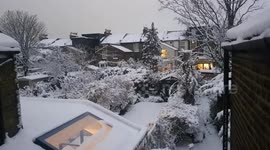Serene scene: Beautiful birdsong heard amongst snow-covered trees in Tottenham but can you name that bird?