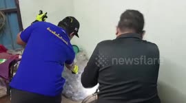 Shocked husband finds cobra in his house after returning home from work