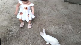 Funny video of a toddler terrified of rabbit
