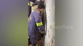 Shocked factory worker finds wild python hiding behind water tank in Thailand