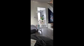 Sweet big sister gets weepy after meeting her baby brother for the first time