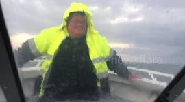 Why go boating when it makes you sick