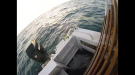 Shark hanging around boat