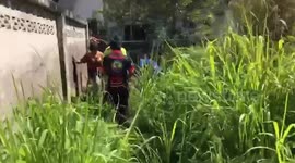 Stray dog rescued after falling into a 7ft well while playing
