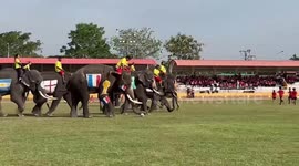Schoolchildren play football with elephants in local 'World Cup' competition in Thailand