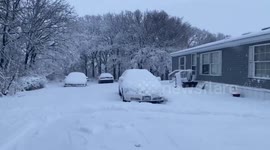 Tree branches bending towards the ground due to the heavy weight of snow and ice