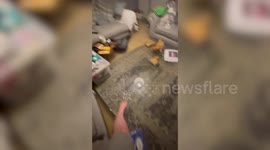 Couple face Christmas 'with no home or hope' after sewage flood for 2nd time in less than 2 years