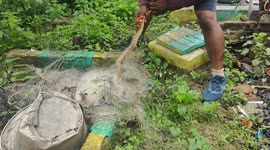 Cobra caught in fish net southindia tamilnadu.
