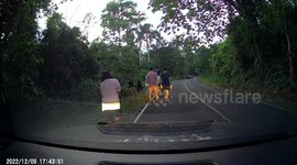 Scary moment tourists run away from wild elephant herd charging at them on Thai road