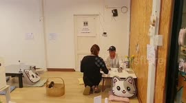 Coffee shop has felines to entertain guests at new cat cafe in Thailand