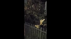 Tornadoes hit New Orleans area, causing damage in Gretna!