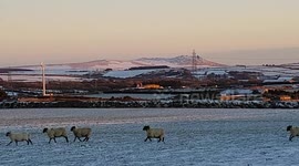 A winter scene of Rough Torr on the edge of Bodmin moor ,Cornwall.
