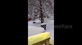 US: Winter Storm Dumps Heavy Snow In Wisconsin Causing Power Outage, School Closures