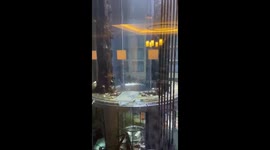 Giant famous aquarium with 1,500 fish explodes in Berlin, Germany