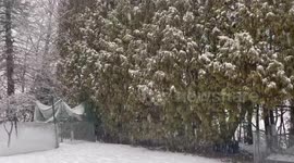 US: Winter Storm Brings Heavy Snow To Upstate NY