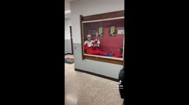 Indiana elementary school principal goes viral for his elf on the shelf costume