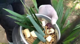 Red panda predicts France will beat Argentina in World Cup final in Qatar