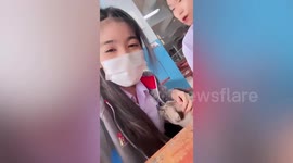Grumpy stray cat nips girl's breast as she takes selfies in Bangkok, Thailand