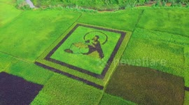 Creative farmer creates stunning image of Jesus in his paddy field in Kerala