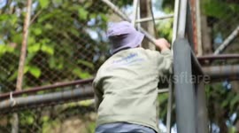 Zookeepers winter-proof animal cages as temperatures plunge in Thailand