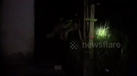 Three starving pet dogs left chained in abandoned house by heartless owners rescued in Thailand