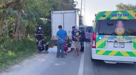 German cyclist, 61, killed in a freak accident after 'riding into back of truck'