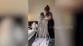 Creative resident wraps green tinsel around cone-shaped poles to make beautiful DIY Christmas tree