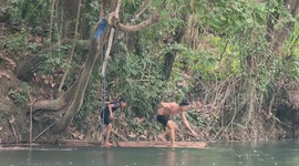 Wild snake drops from tree onto children playing in river