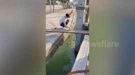 Passerby uses rope to save drowning stray kitten stuck under pier