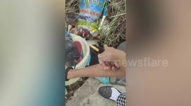 Hero student rescues dying puppy abandoned on dumpsite in the Philippines