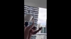 Fans in Miami go absolutely wild for Argentina winning World Cup by throwing everything around