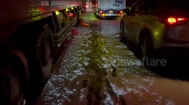 Japan: Record-Breaking Snow Hits Tohoku And Hokuriku Causing Standstill Traffic