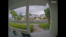 Strong 40 mph winds knock down Plumeria tree in EWA Beach, Hawaii