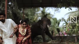 An elephant hit a bride and groom with a leaf while they were taking the wedding photos